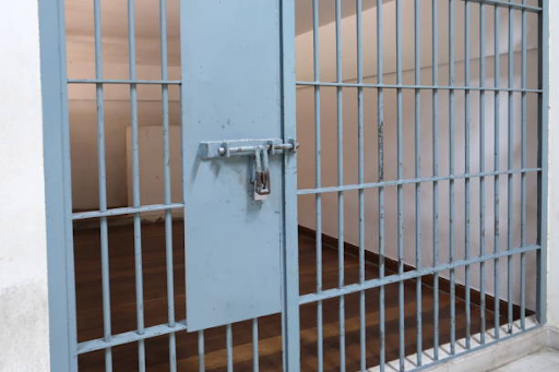 Access to Courts and Legal Representation in Prison