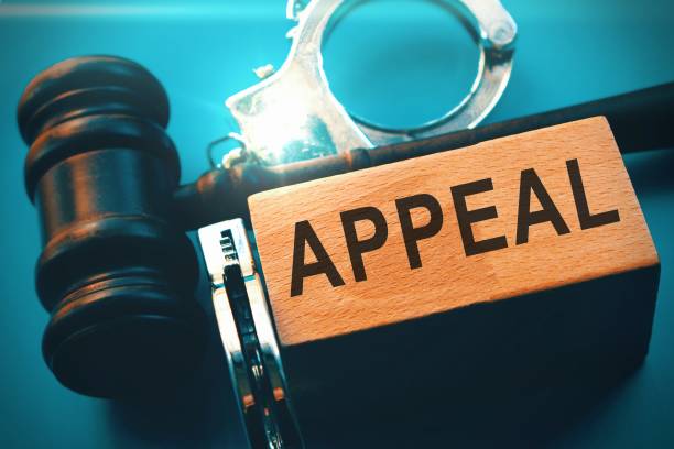 How to Appeal a Criminal Conviction: A Step-by-Step Guide