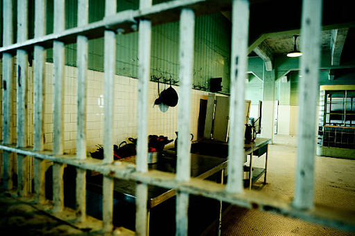 Nutrition and Living Conditions in US Prisons